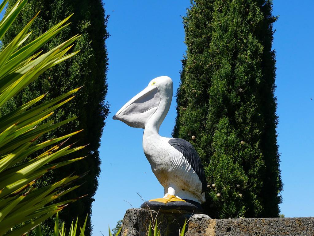 Pelican Waters Holiday Park Port Fairy Exteriér fotografie