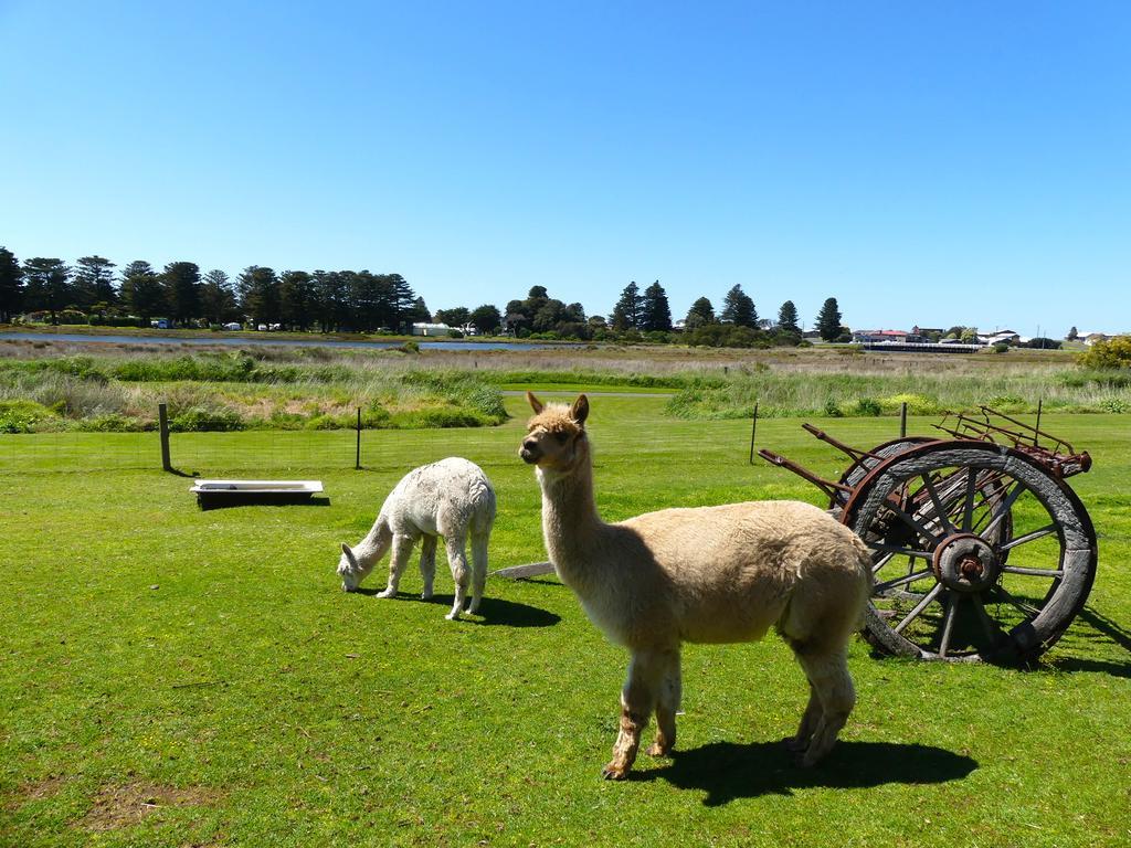 Pelican Waters Holiday Park Port Fairy Exteriér fotografie